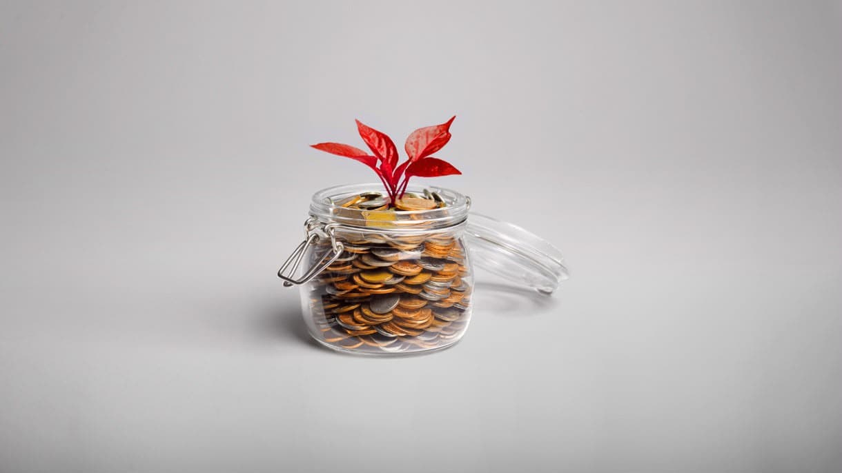 Coins in a jar with a growing plant